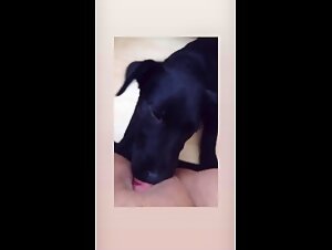 Thumb 6