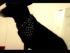 Thumb 7