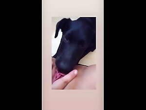 Thumb 8