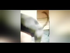Thumb 10