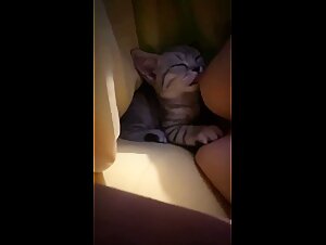 Kitty suckles big titty