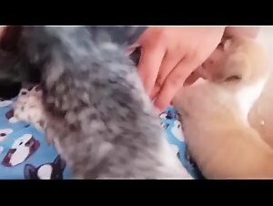 Thumb 6