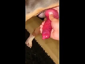 Thumb 6