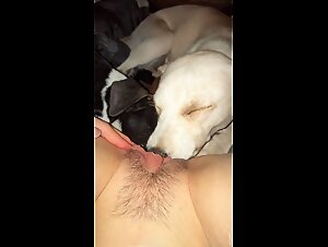 Landing strip licked