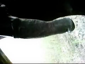 oiled horse cock