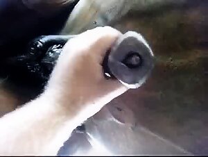 Thumb 8
