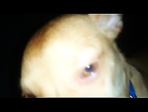 Thumb 7