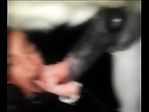 Thumb 9