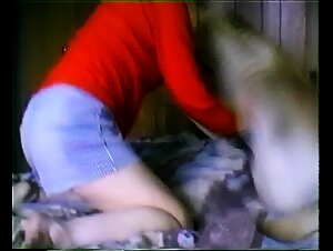 Frisky Eager Dog HD