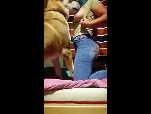 Gostosa na zoofilia