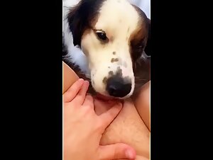 Thumb 8