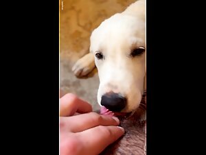Thumb 6