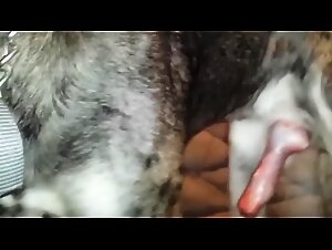 Thumb 10