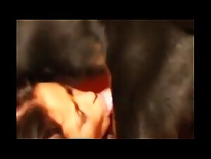 BITCH IS WORSHIPPING HER DOG'S COCK DEEPLY SUCKING IT