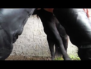 Thumb 7