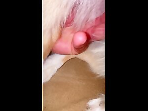 Thumb 7
