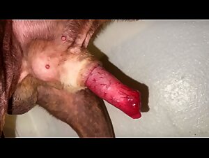Thumb 6