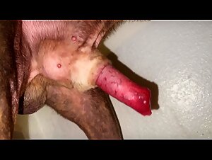 Thumb 7