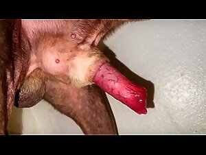 Thumb 8