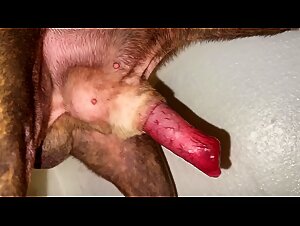Thumb 9