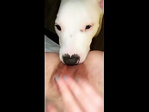 Thumb 8