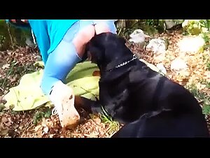 Dog