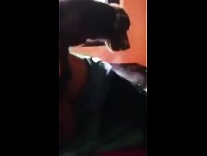 Delícia de clip