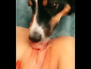 Her best lover is dog