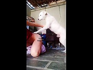 Anal com meu pet