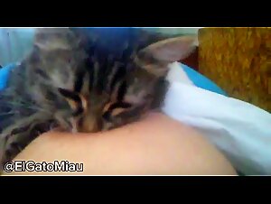 Girl let her cat suck her tits | Chica deja que su gato chupe sus tetas