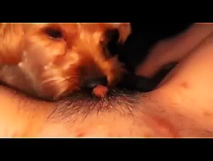 Whore4dogs