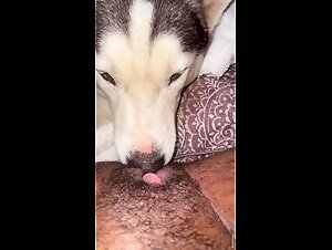 Black woman having sex with her dogs at home (Part 3)
