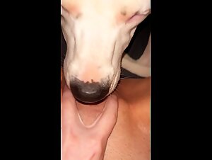 Another clip of the cute teen with the fat clit getting licked.