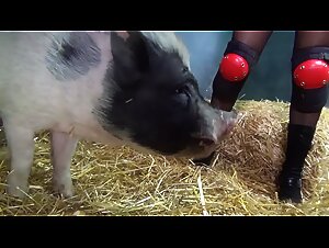 Seamless Flow - Yasmin - Boar With Me