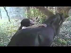 Horse sex brunette pony