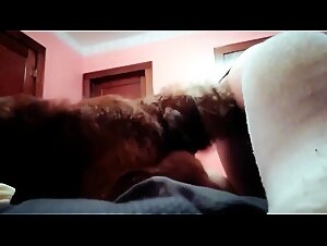He loves to lick me