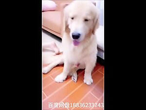 支付宝qq都限制加好友了！！