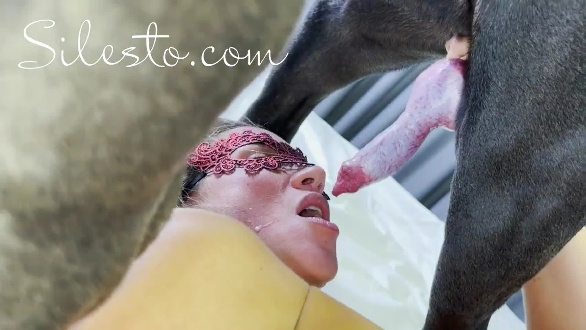 Veronica Silesto Blowjob Red - BestialitySexTaboo - Bestiality Sex Taboo