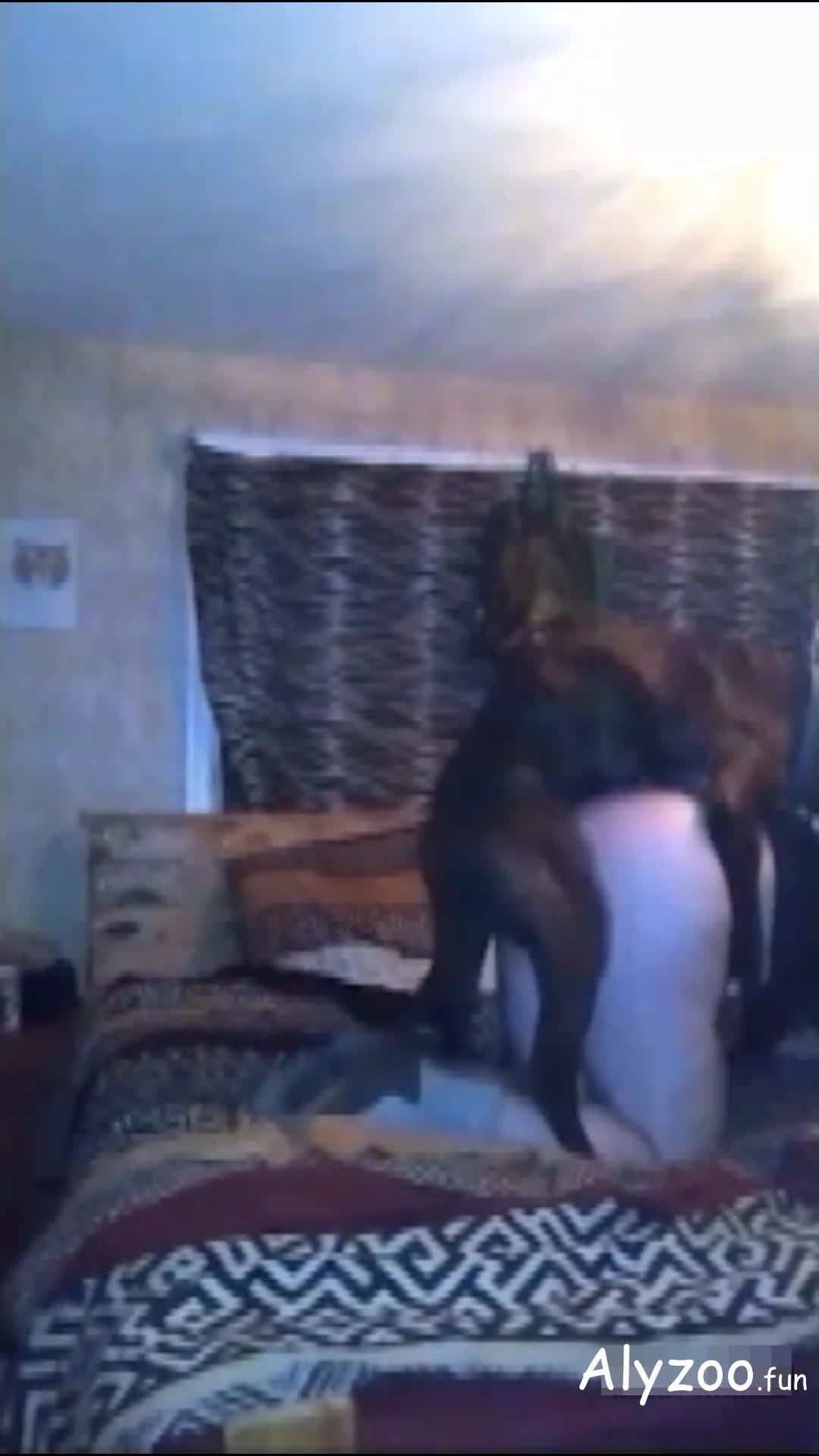 Big ass women-BestialitySexTaboo - Bestiality Sex Taboo