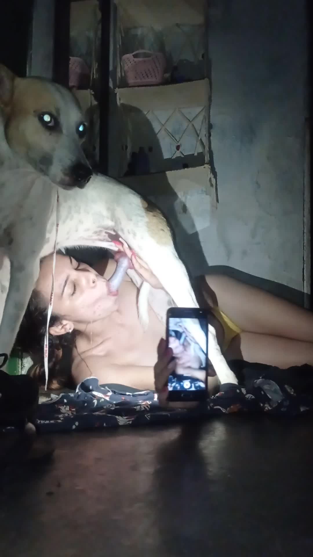 dog fuck dogwalker bestiality Dog - BestialitySexTaboo - Bestiality Sex Taboo