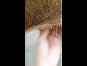 Thumb 6