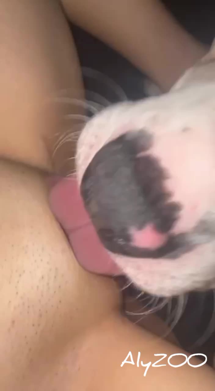 Hot wife threesome compilation - BestialitySexTaboo - Bestiality Sex Taboo