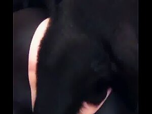 My dog fills me with cum