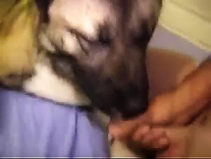 Dog and Guy (m/m)