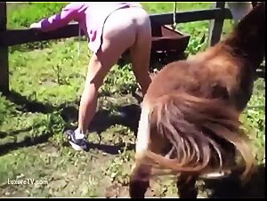 Woman fucked by horse couple of times