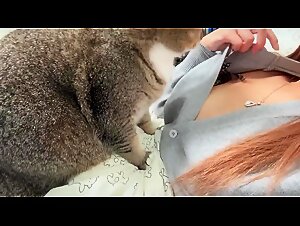 Chinese girl and cat 1