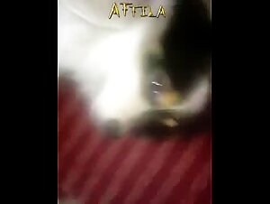 Thumb 7