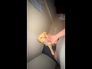 sexy doggy licks cum