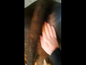 Cow massage