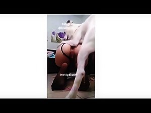knottyai is looking for girls to fuck dogs